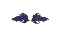 Wings of Curse Mu Online