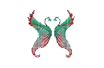 Wings of Illusion