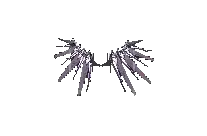 Wings of Ruin